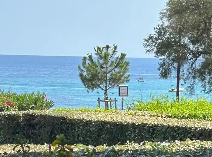 Grand Rte Des Sanguinaires Superbe Vue * Ajaccio (Corsica)