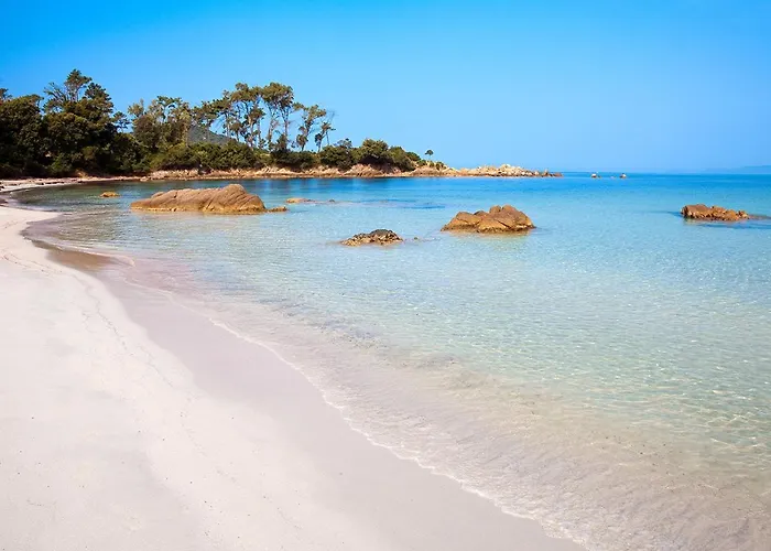Grand Rte Des Sanguinaires Superbe Vue Ajaccio (Corsica)